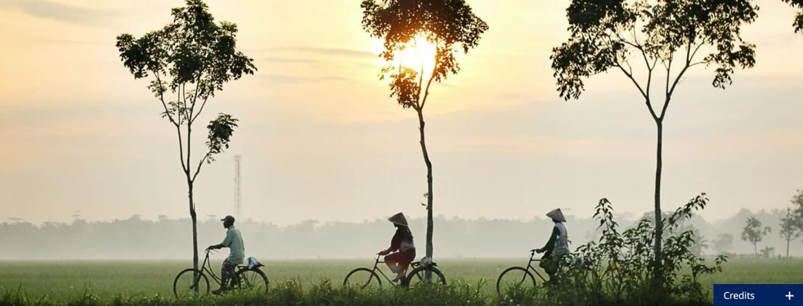 HEAT AND HEALTH