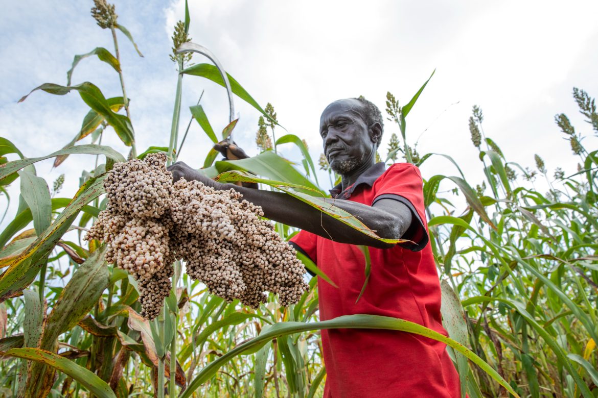 south sudan 1