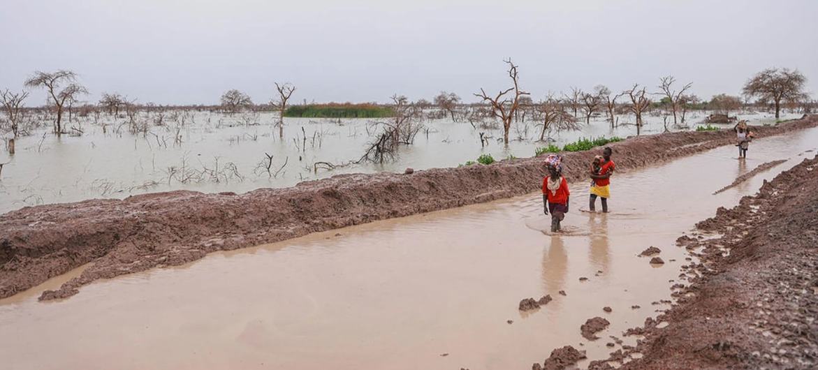 NECJOGHA © UNHCR/Tiksa Negeri People displaced by flooding carry children and belongings along a waterlogged road in Bentui, South Sudan. (file)